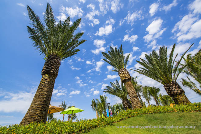 Luxury Services Apartment for Sale, Country Garden Danga Bay. For full details, please visit us at www.countrygardendangabay.com